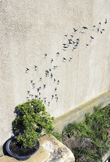 Murals by Spanish street artist Pejac Tokyo, Seoul and Hong Kong (15)