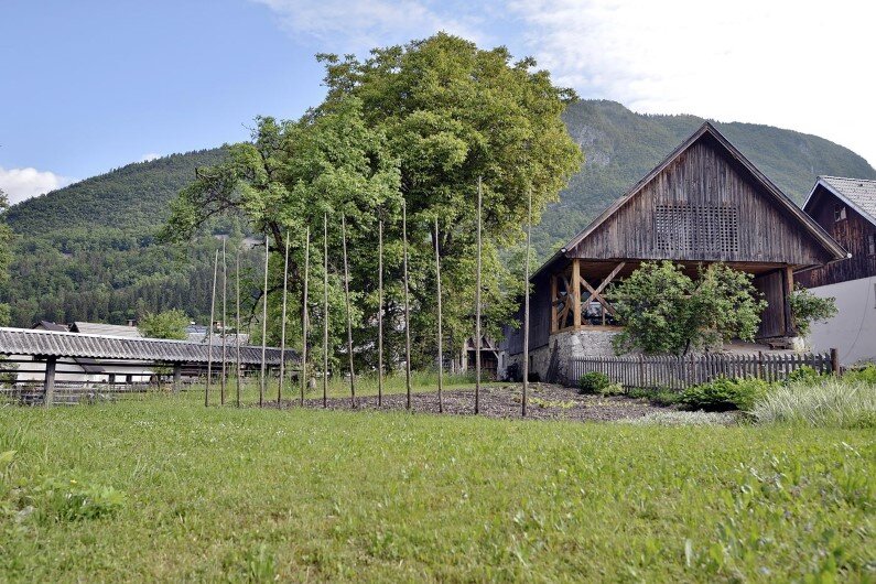 Old Alpine Barn revitalized by converting into a loft apartment (12)