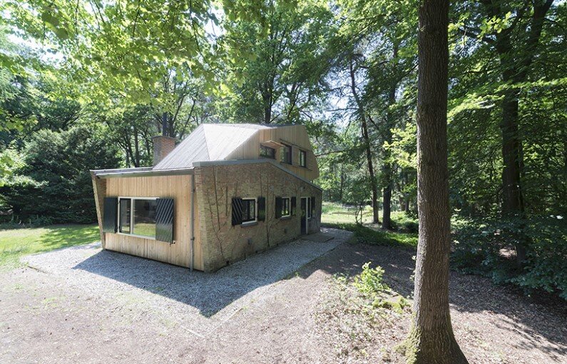 Transformation Forest House sustainable, compact and sculptural rooftop extension (1)