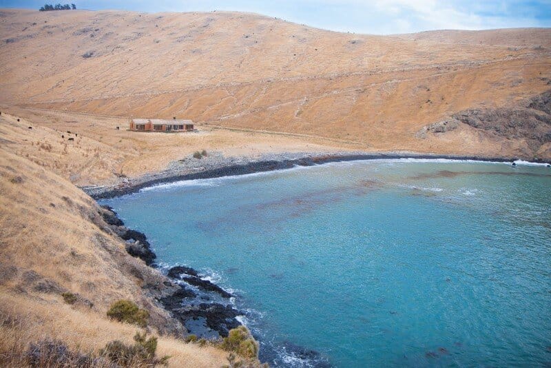 Farm house designed as the centerpiece of a surf beach (8)