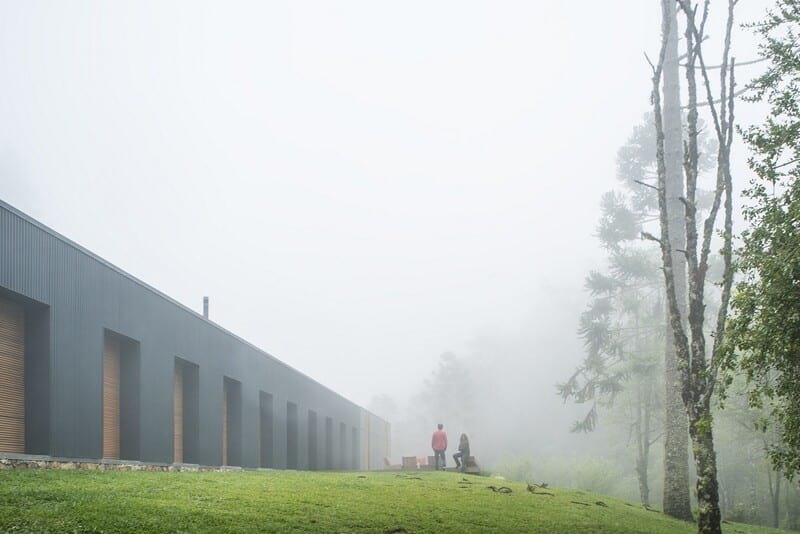 Metal structure house in the midst of a beautiful forest of pine trees (6)