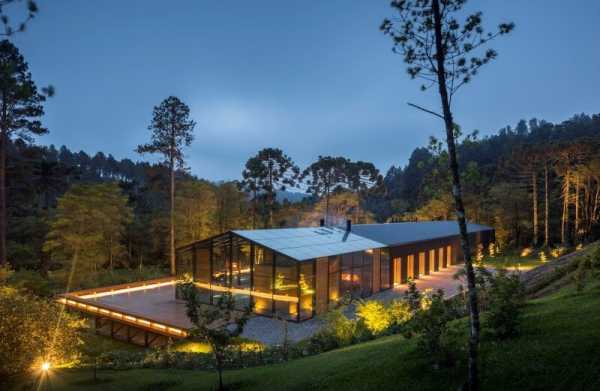 Metallic Structure House in the Midst of a Beautiful Forest of Pine Trees