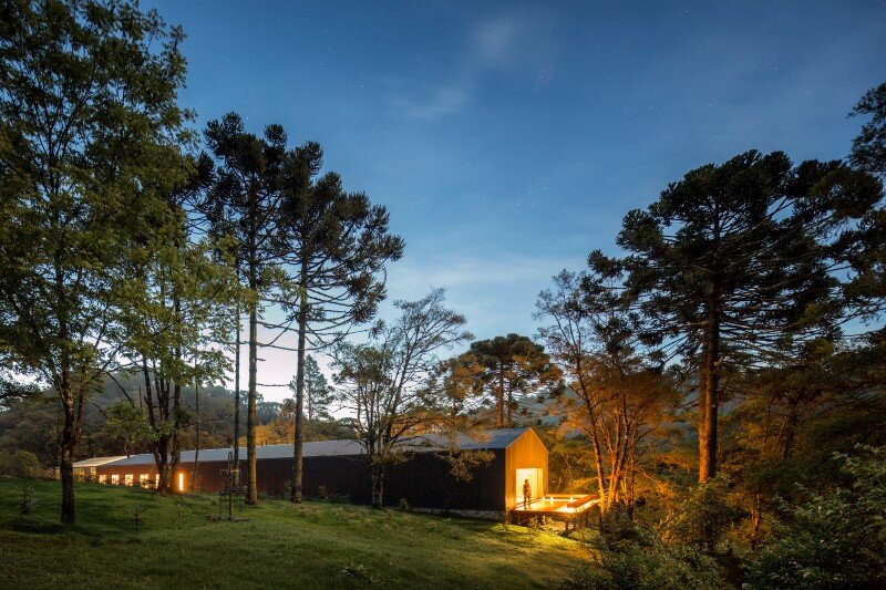 Metal structure house in the midst of a beautiful forest of pine trees 7 (3)