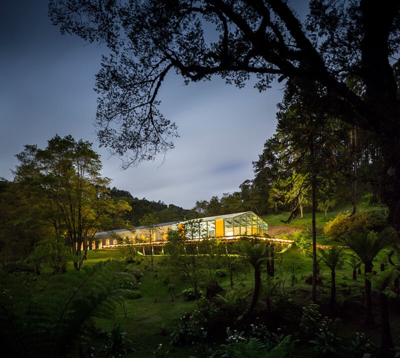 Metallic structure house in the midst of a beautiful forest of pine trees (4)