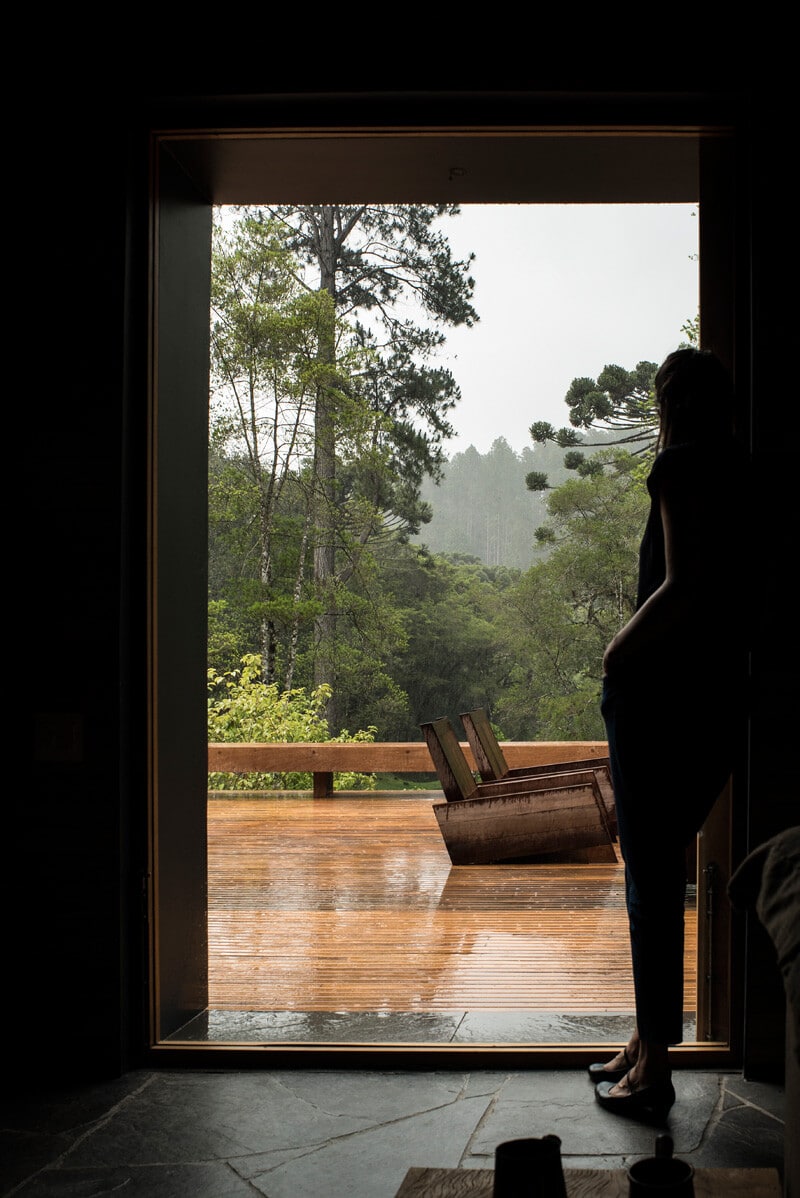 Metallic structure house in the midst of a beautiful forest of pine trees (8)