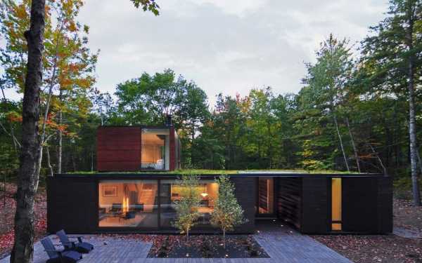 Sylvan Retreat: Textured Wood Structure with a Green Roof