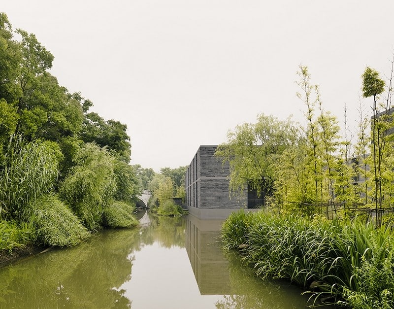 Apartment buildings surrounded by a water garden and wild landscape (7)