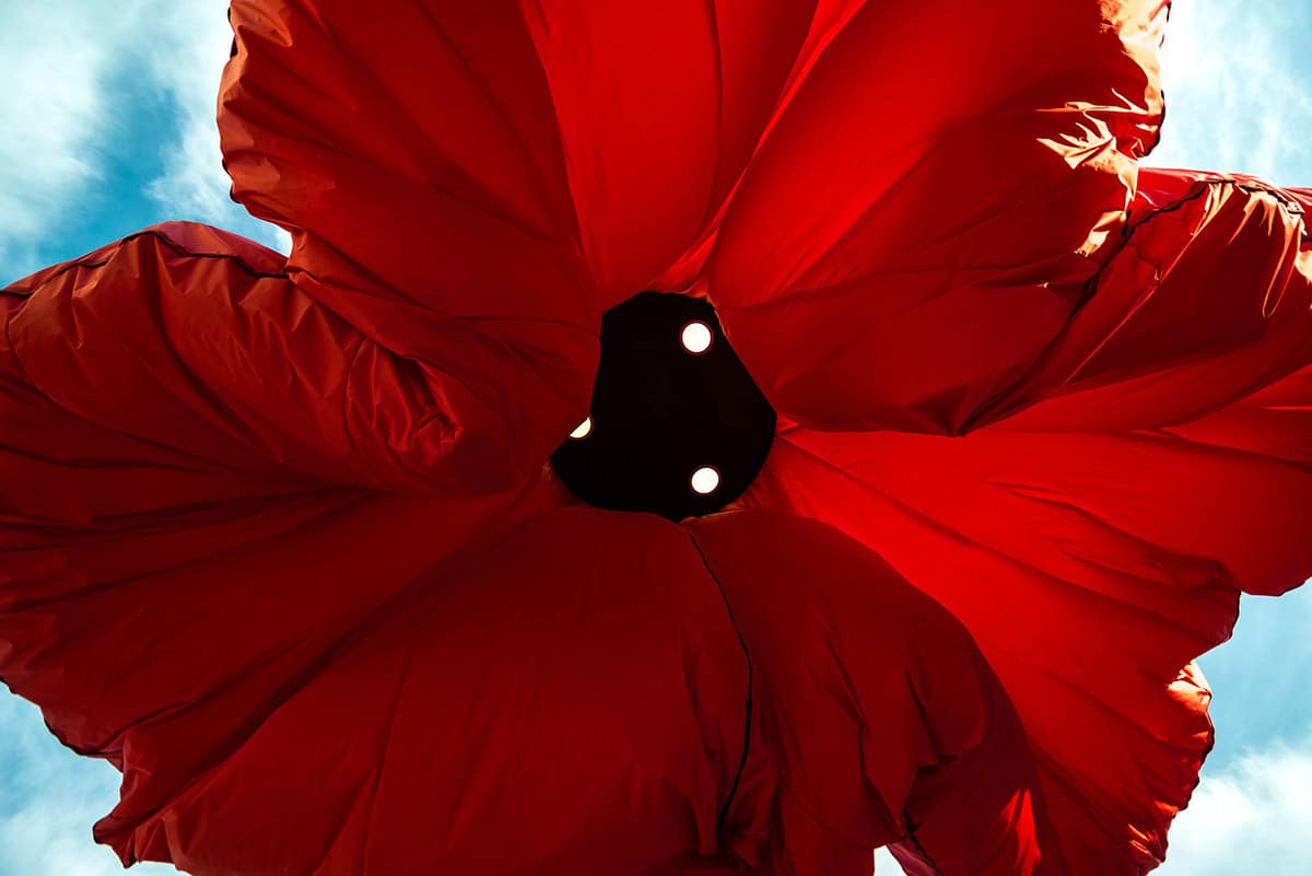 Dynamic Street Installation in Vallero Square in Jerusalem Giant Urban Flowers (11)