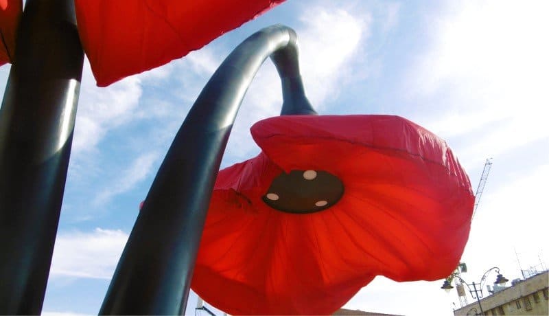 Dynamic Street Installation in Vallero Square in Jerusalem Giant Urban Flowers (14) (Custom)