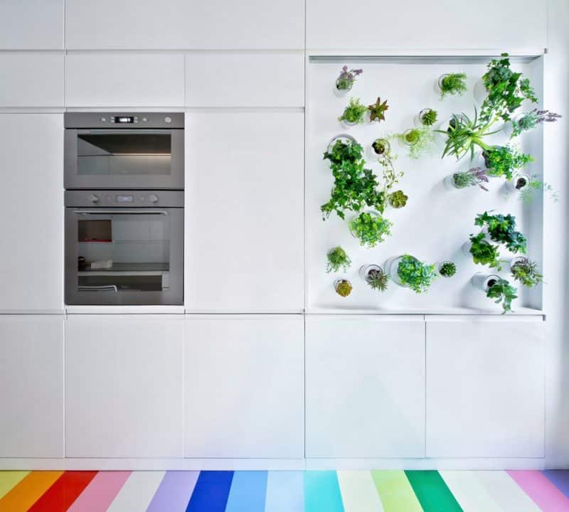 vertical garden in the kitchen