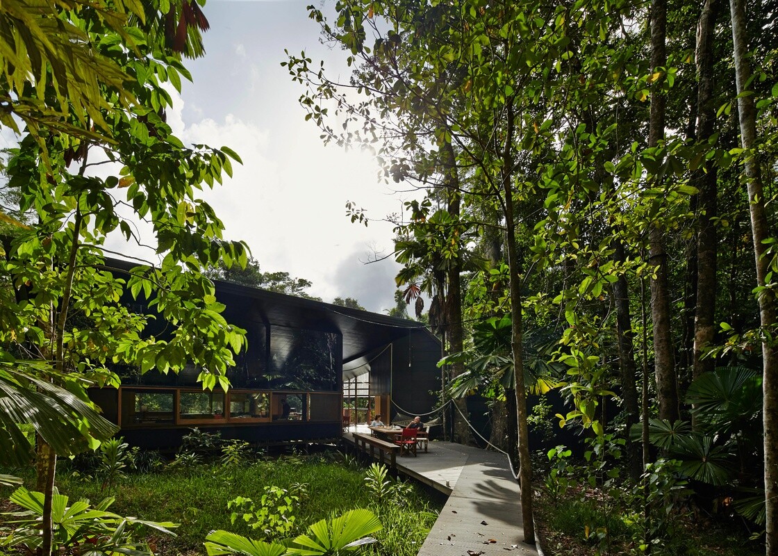 Cape Tribulation House, vacation house, forest retreat, off-grid holiday retreat