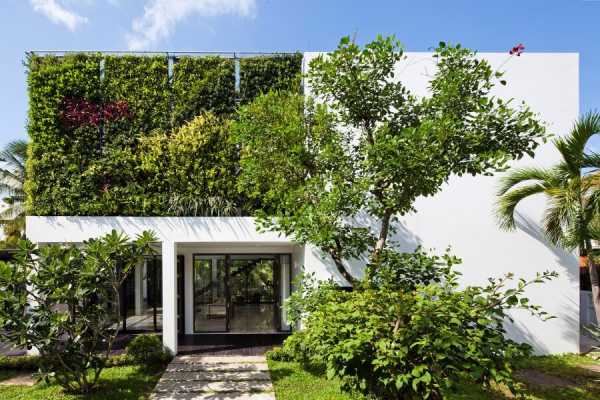 Thao Dien House Delights Us with a Beautiful Vertical Garden Walls