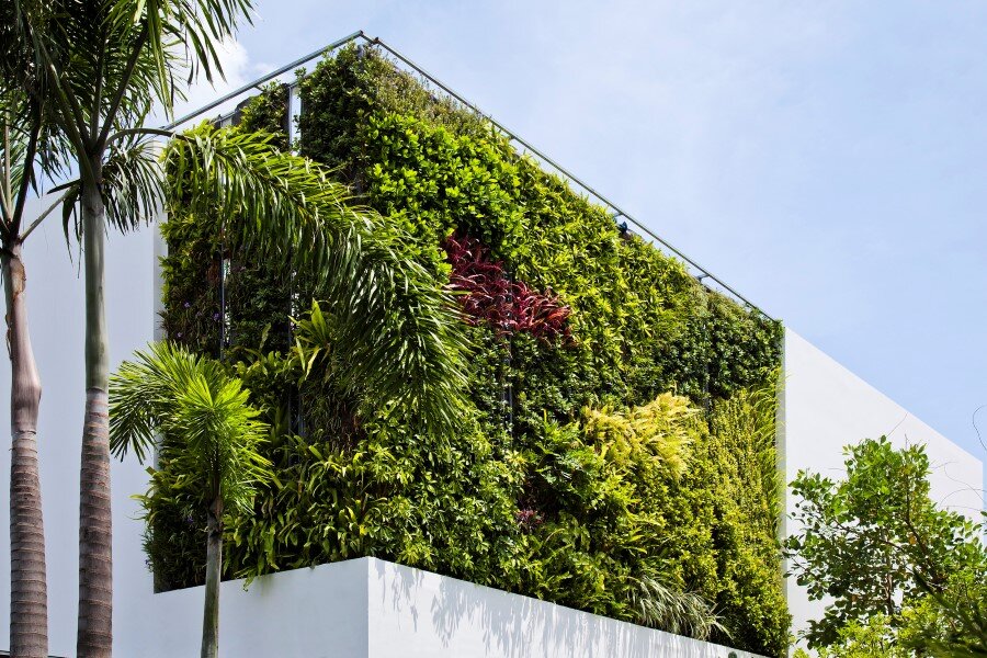 green wall