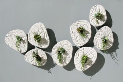 Visual Effect on the Wall Seed by Taeg Nishimoto