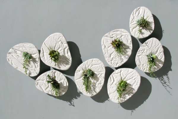 Visual Effect on the Wall Seed by Taeg Nishimoto