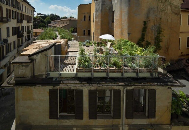 Piuarch Studio Has Converted its Rooftop into a Permanent Vegetable Garden (6)