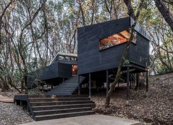 Spectacular Forest Retreat Hidden in the Forested Hills of Northern California