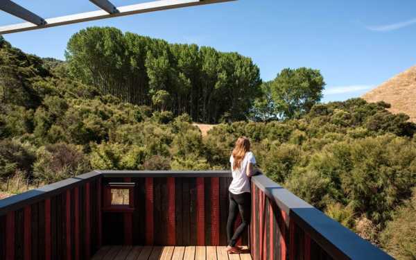 Ecosanctuary Welcome Shelter: Floating Roof Over the Wooden Boxes 13