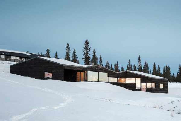 Dark Timber Cabin