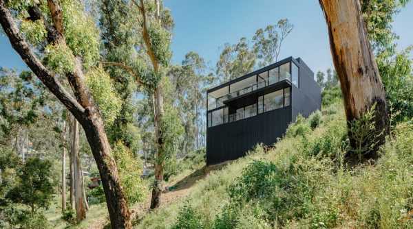 Wye River Box Home Overlooking Australian Bushland