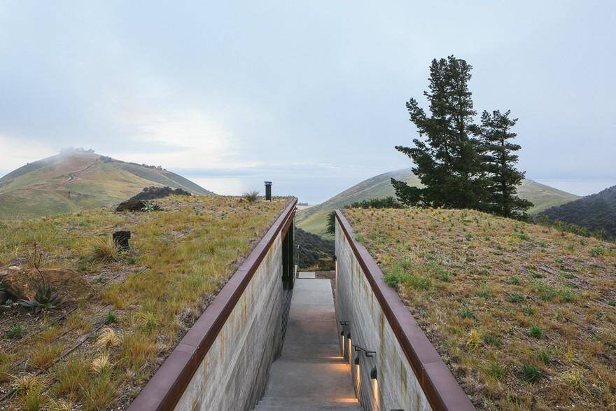 green roof