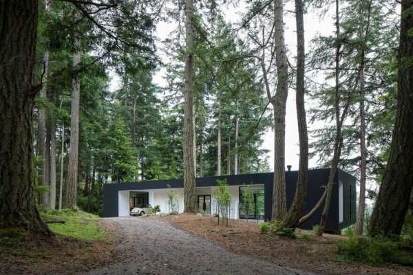 Collector’s Retreat in Orcas Island, Washington / Heliotrope