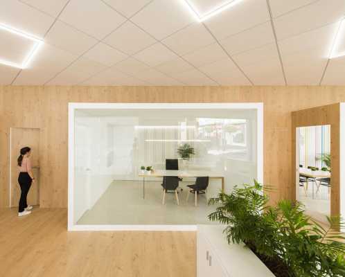 MEMORY – Offices Casado & Pujol by Pablo Muñoz Payá Arquitectos