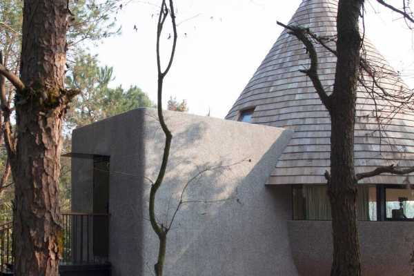 A Mushroom-Formed Wood House in the Forest