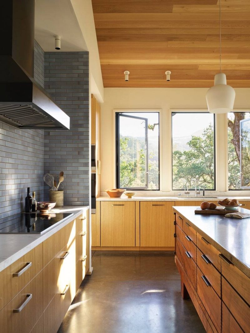 Blue Oaks Residence by Richard Beard Architects