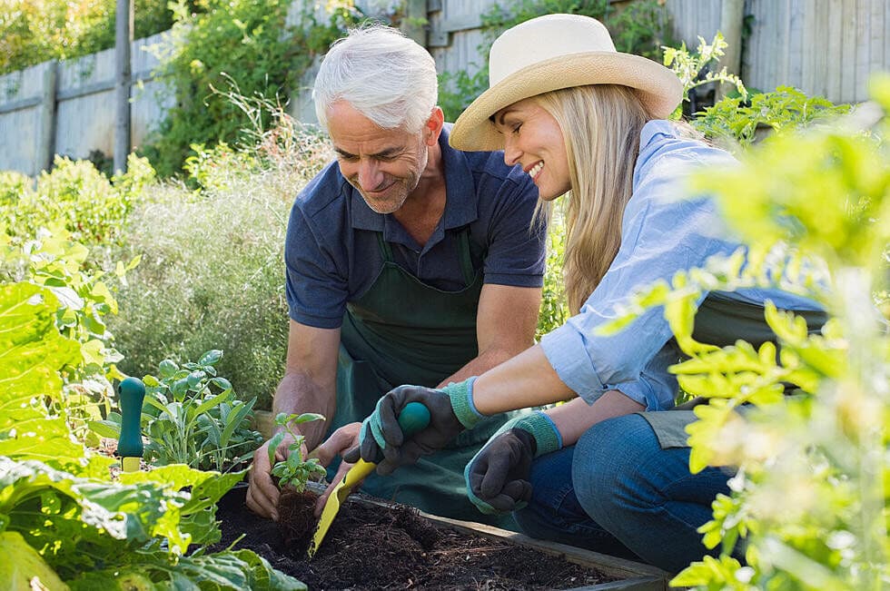 How to Set Up a Gardening Business