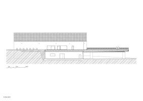 longitudinal section