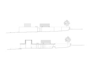 section
