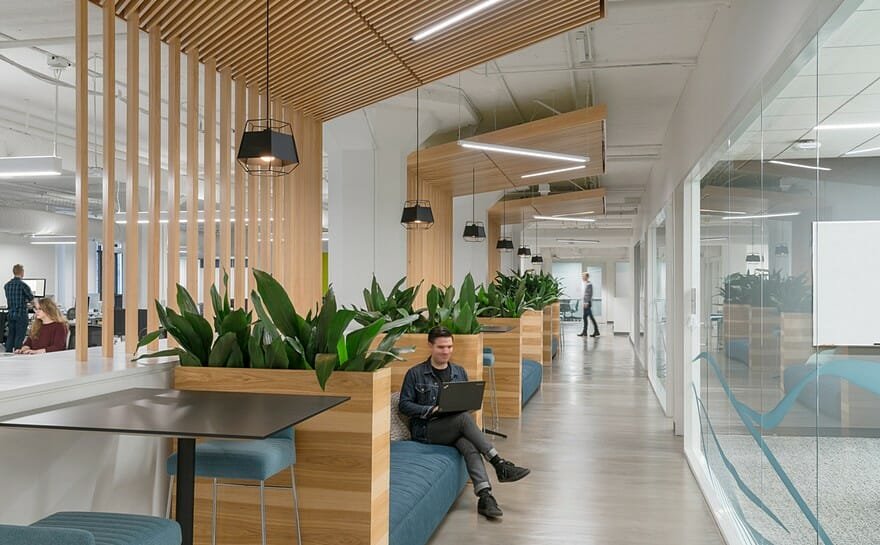 biophilic workspaces, Microsoft Office Campus in San Francisco, California, Low-Cost Biophilic Design