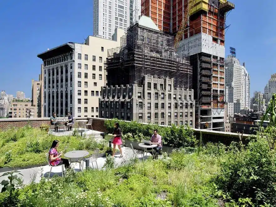 A Biophilic Design Studio Designed for Wellness in a Historic Office Tower