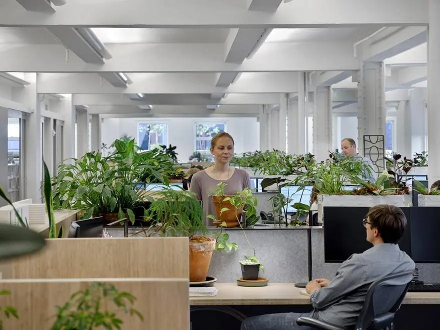 Biophilic Design in the Workplace