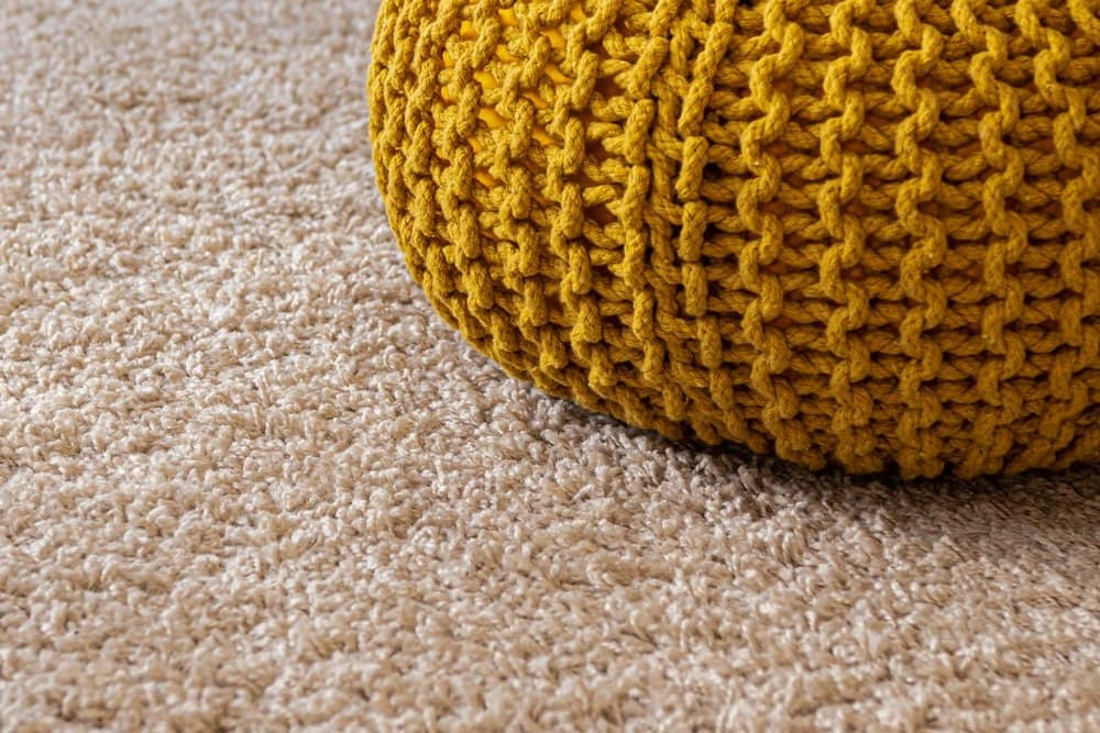 Why You Should Get Your Carpets Cleaned Twice Annually