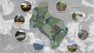 CommunityGraphic