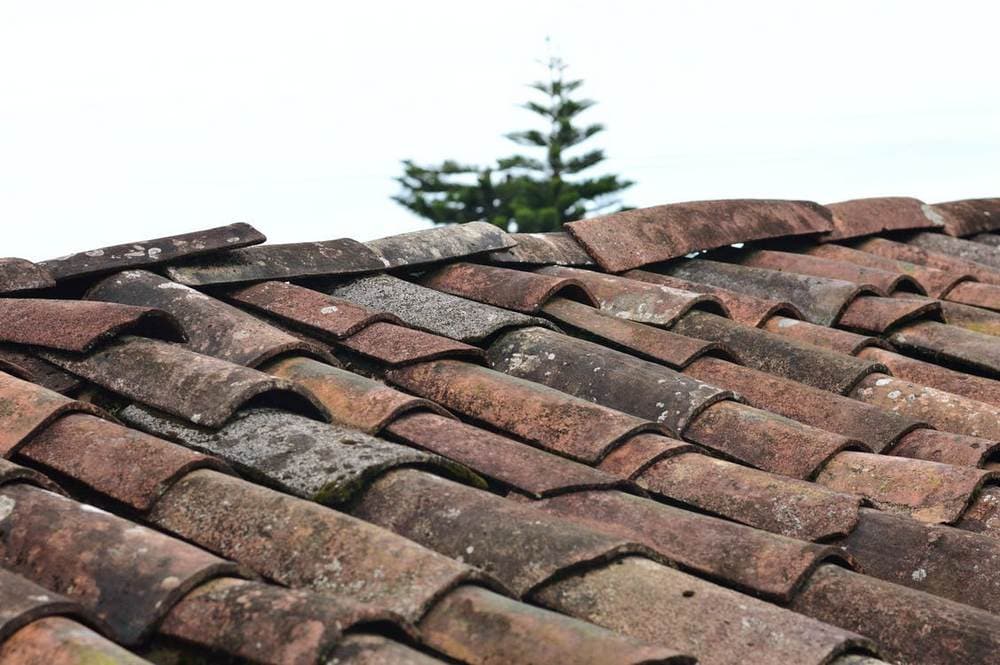 7 Signs You Need a New Roof