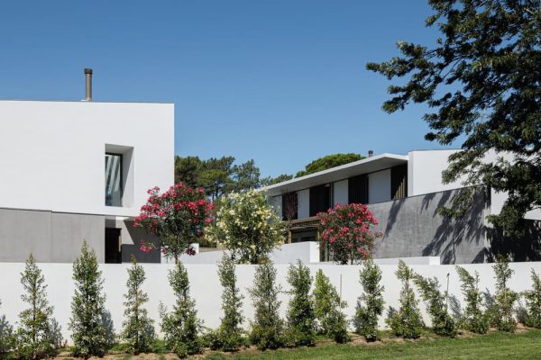 Houses in the Pine Forest / PK Arquitetos