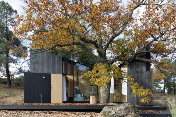 Chestnut Home, Portugal / João Mendes Ribeiro