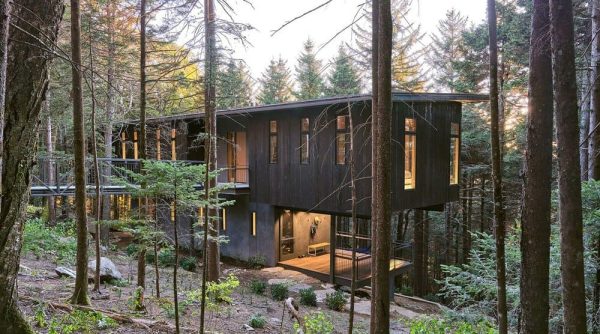 Spruce Ridge Cabin by Altura Architects