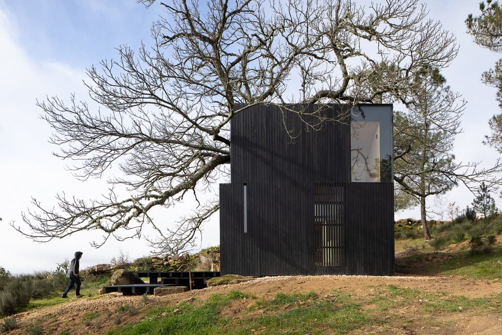 Chestnut Home, Portugal / João Mendes Ribeiro