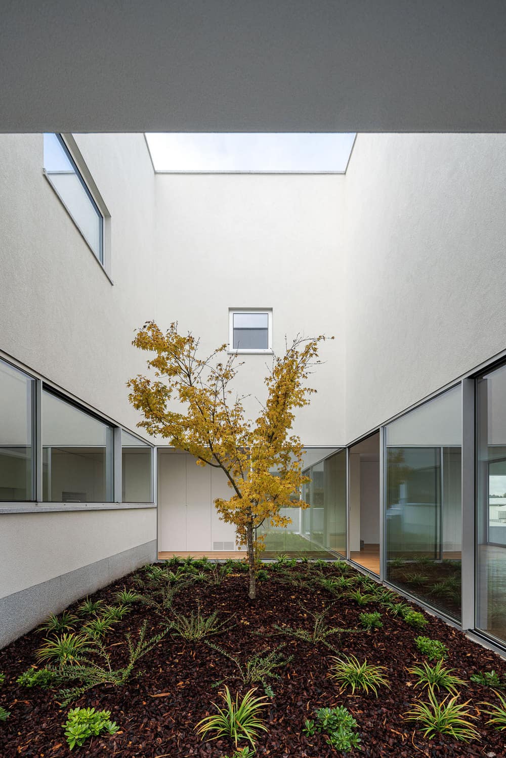 inner courtyard