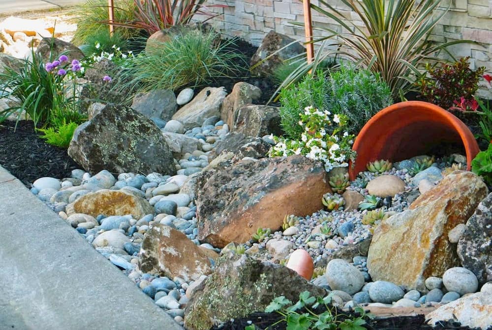 Rock Garden