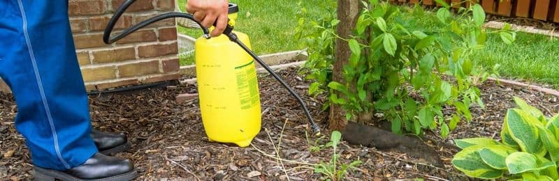 Apply Weedkiller / Front Garden Landscaping Ideas