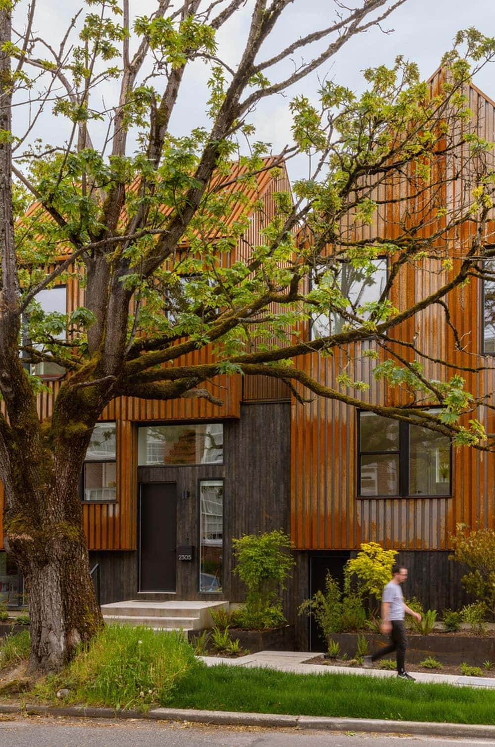 Oak & Alder House, Seattle / Hybrid