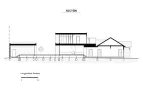 longitudinal section