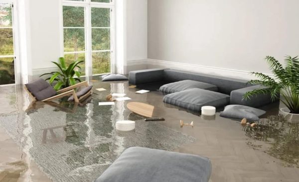 The Leading Signs of Water Damage: What to Look for and How to Respond