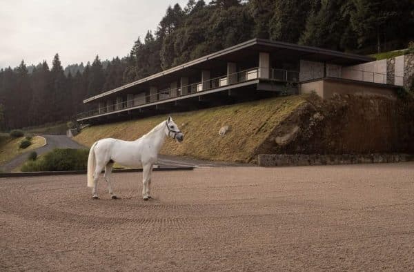 Piedra Grande Equestrian Club House