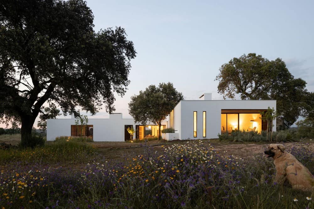 House in Crato / Inês Brandão Arquitectura